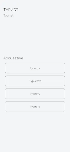 Скриншот 3 — Russian grammar