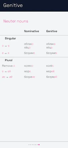 Скриншот 4 — Russian grammar