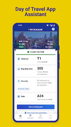 Скриншот 4 — Ryanair