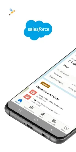 Скриншот 1 — Salesforce