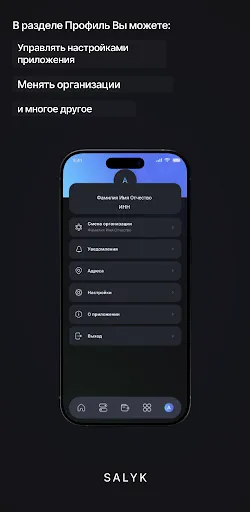 Скриншот 2 — Salyk