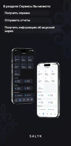 Скриншот 5 — Salyk