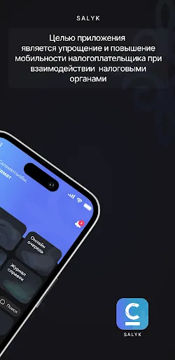 Скриншот 6 — Salyk