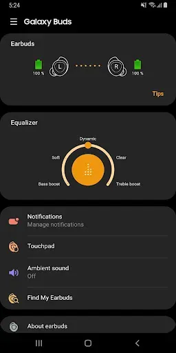 Скриншот 1 — Galaxy Buds Manager