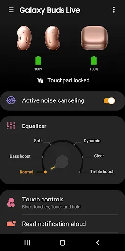 Скриншот 1 — Galaxy Buds Live Manager