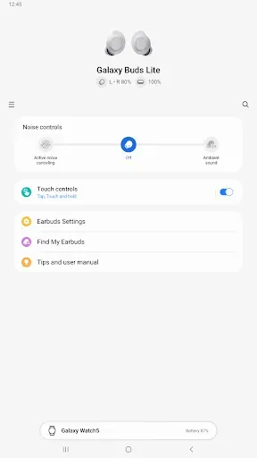 Скриншот 7 — Galaxy Buds FE Manager