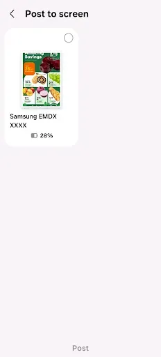 Скриншот 8 — Samsung E-Paper