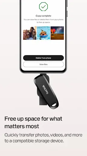 Скриншот 3 — SANDISK