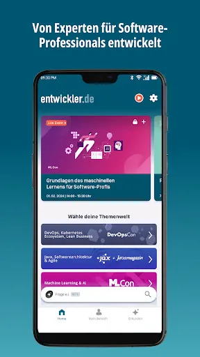 Скриншот 1 — entwickler.de