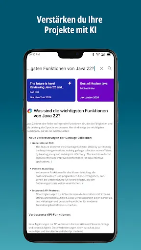 Скриншот 3 — entwickler.de