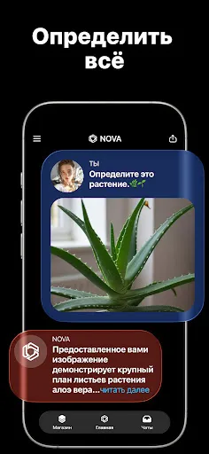 Скриншот 6 — AI Chatbot - Nova