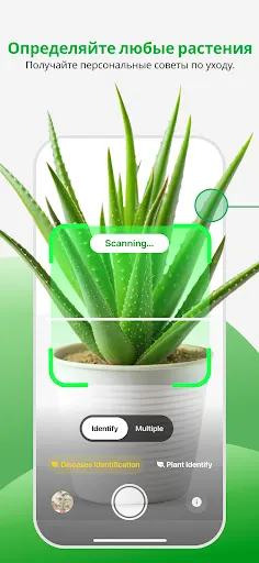 Скриншот 1 — PlantApp – Определите растение