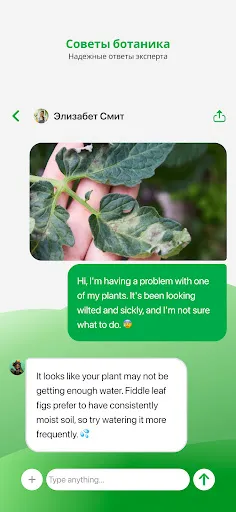 Скриншот 6 — PlantApp – Определите растение