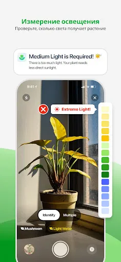 Скриншот 7 — PlantApp – Определите растение