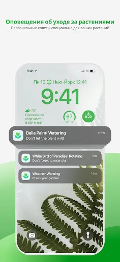 Скриншот 8 — PlantApp – Определите растение