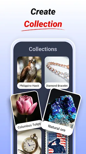 Скриншот 8 — LensIQ - Scanner & Identifier