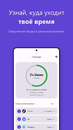 Скриншот 8 — ScreenTally - Экранное Время