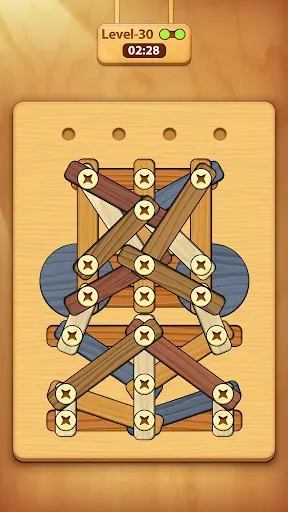 Скриншот 8 — Screw, Nuts & Bolts Puzzle