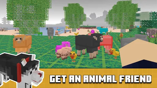 Скриншот 5 — Build Block Craft