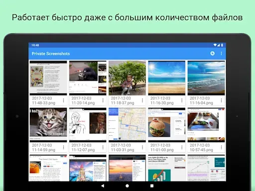 Скриншот 6 — Скрытые Скриншоты