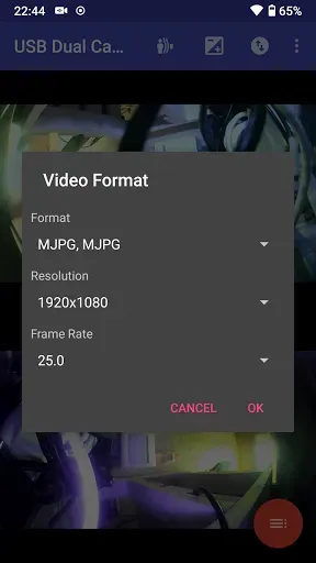 Скриншот 7 — USB Dual Camera