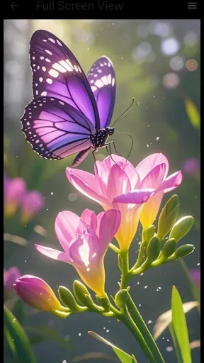 Скриншот 3 — Butterfly Wallpaper