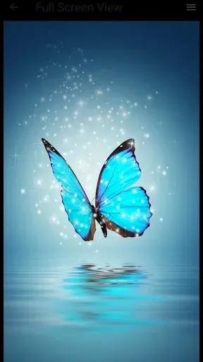 Скриншот 7 — Butterfly Wallpaper