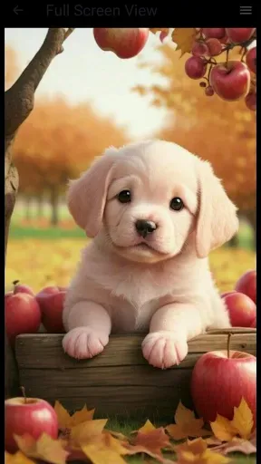 Скриншот 1 — Dog Wallpaper