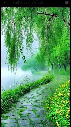 Скриншот 1 — Green Wallpaper
