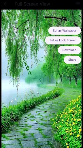 Скриншот 2 — Green Wallpaper