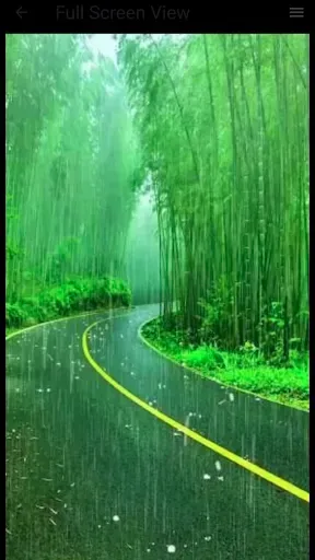 Скриншот 6 — Green Wallpaper
