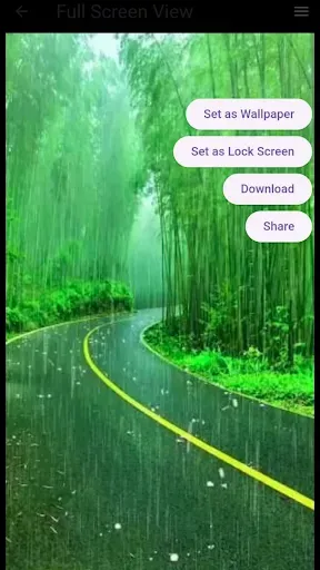Скриншот 7 — Green Wallpaper
