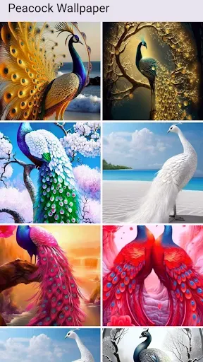 Скриншот 6 — Peacock Wallpaper