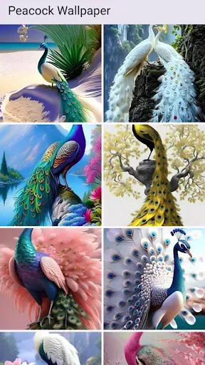 Скриншот 8 — Peacock Wallpaper