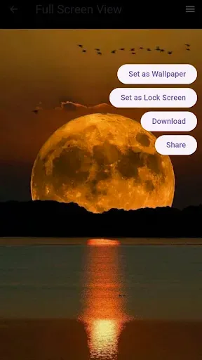 Скриншот 4 — Moon Wallpaper