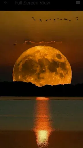Скриншот 5 — Moon Wallpaper