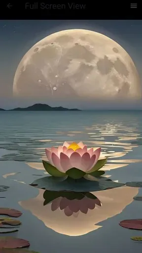 Скриншот 6 — Moon Wallpaper