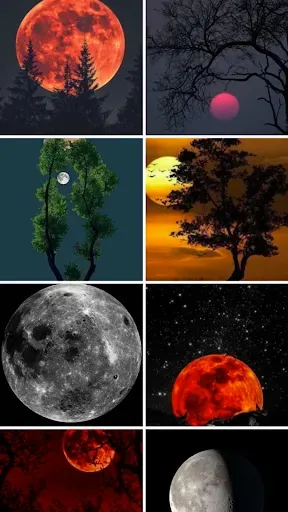 Скриншот 8 — Moon Wallpaper