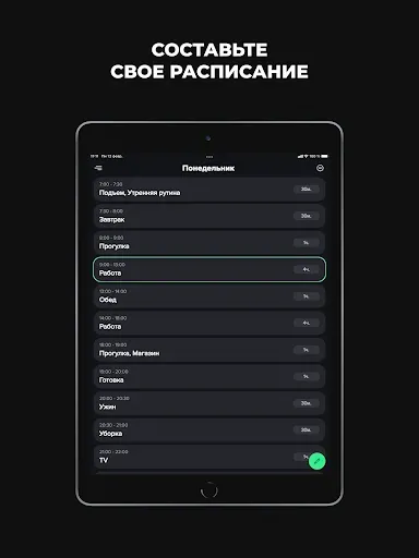 Скриншот 8 — Распорядок дня