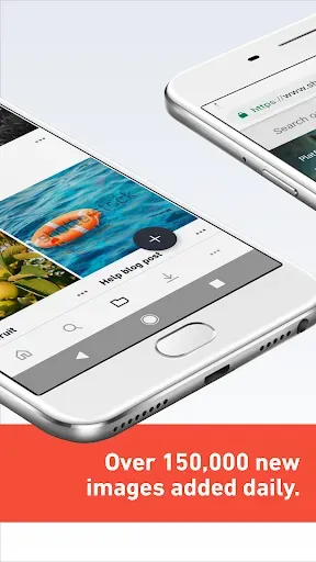 Скриншот 7 — Изображения+видео Shutterstock