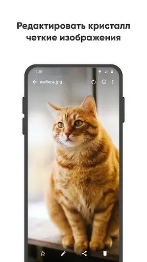 Скриншот 5 — Простая галерея Pro