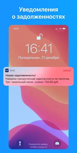 Скриншот 3 — Налоги — проверка и оплата