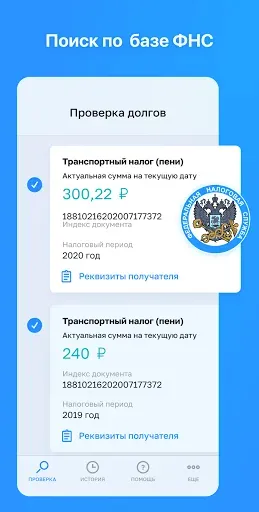 Скриншот 5 — Налоги — проверка и оплата