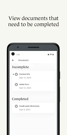 Скриншот 7 — SimplePractice Client Portal