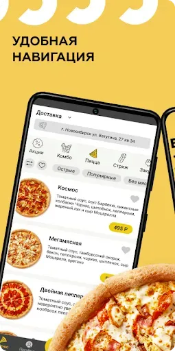 Скриншот 3 — Пицца Синица