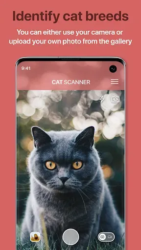 Скриншот 1 — Cat Scanner