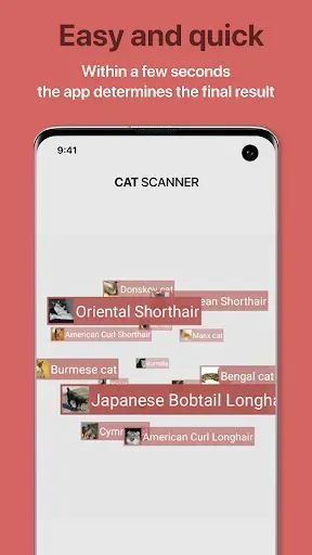 Скриншот 3 — Cat Scanner