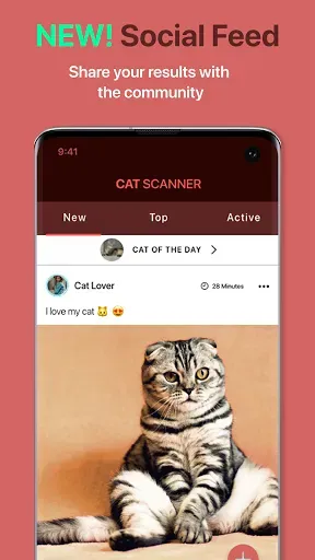 Скриншот 4 — Cat Scanner