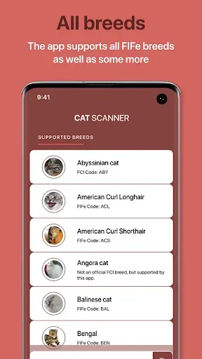 Скриншот 7 — Cat Scanner