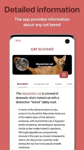 Скриншот 8 — Cat Scanner